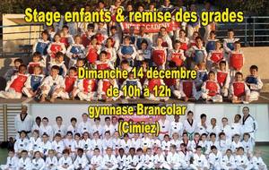 STAGE DE NOEL &amp; REMISE DES DIPLÔMES ET CEINTURES 
