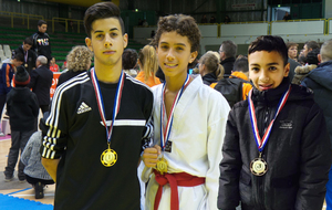 OPEN INTERNATIONAL DE TOULOUSE 2014