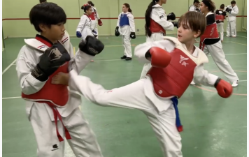 TAEKWONDO PIEDS POINGS