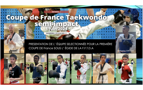 COUPE DE FRANCE TAEKWONDO Semi-impact 