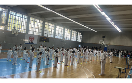 PASSAGE DE GRADES ENFANTS TOUTES SECTIONS