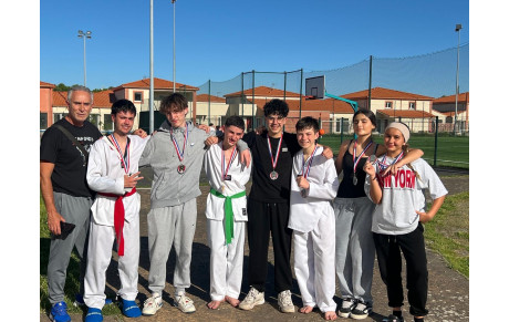 COUPE DE FRANCE TAEKWONDO Semi-impact 